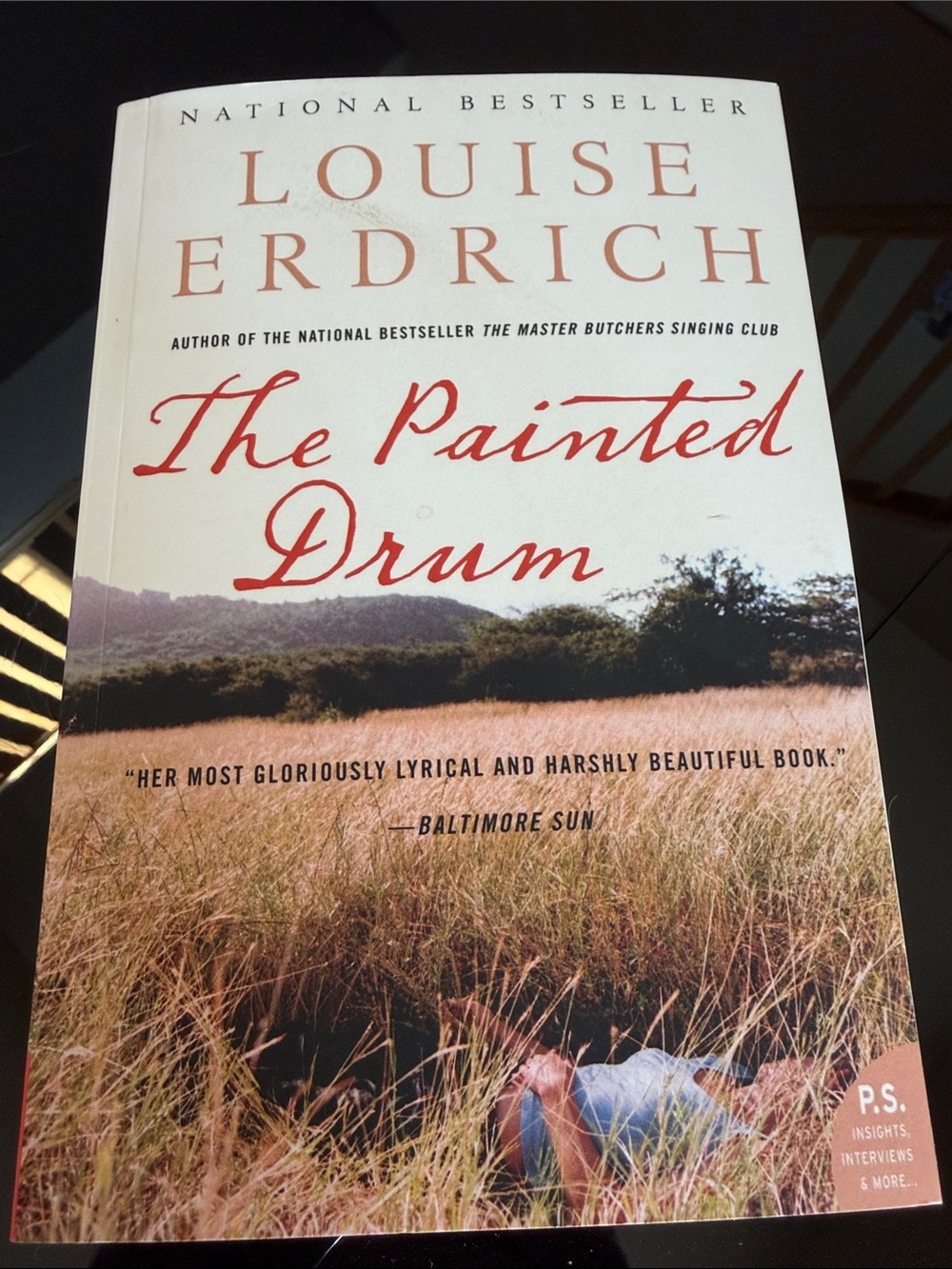 The Painted Drum Paperback - by Louise Eldridge - new